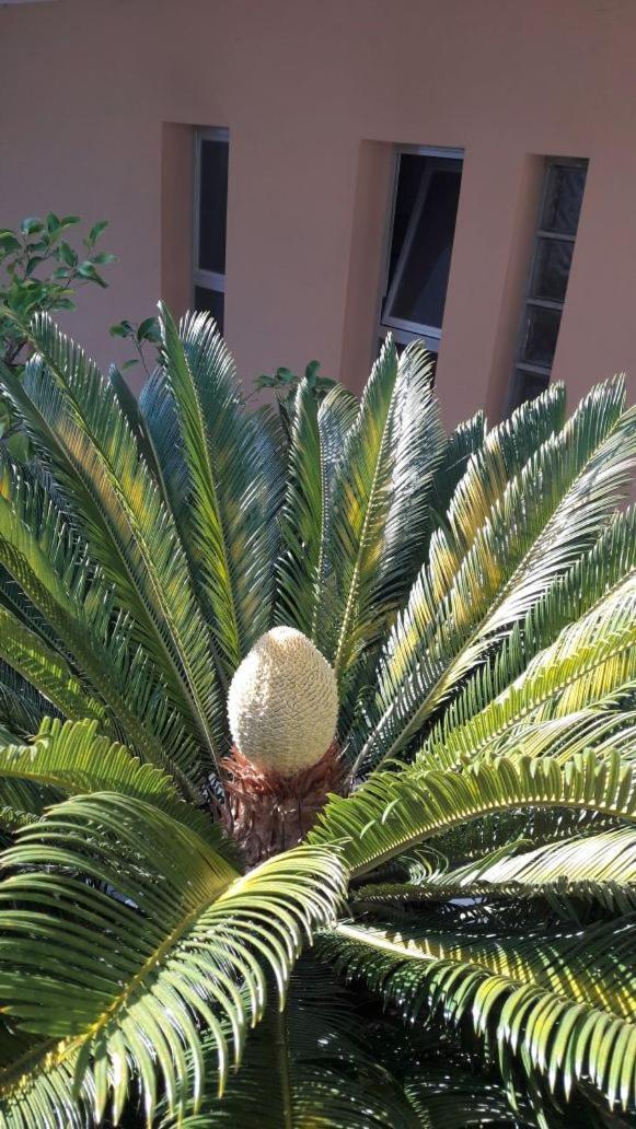 Albergo Larenzia Cattolica Luaran gambar